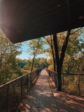 TrintyForestGuidedHike_2022