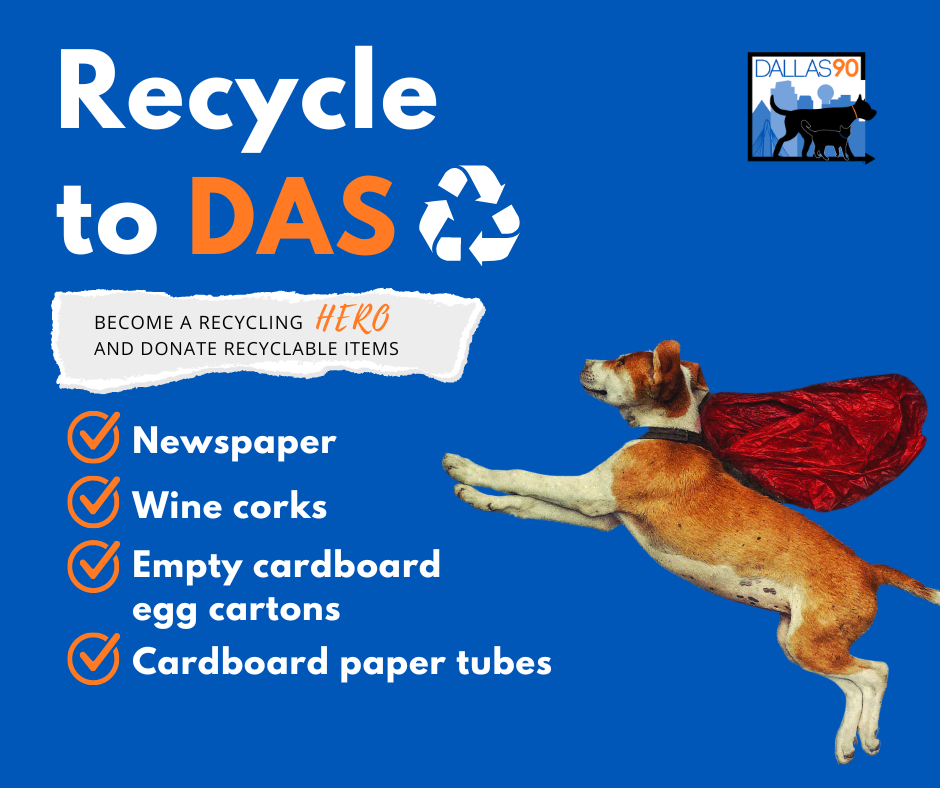 Recycle Flyer