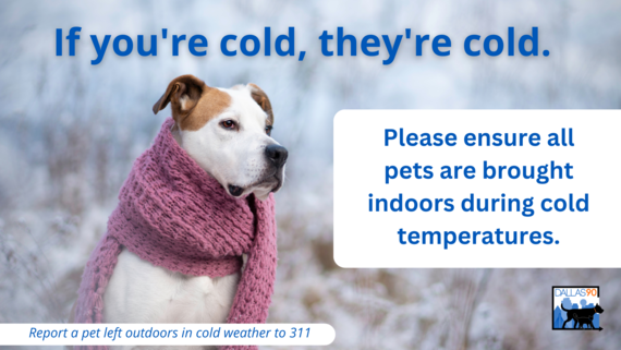 Cold weather reminder