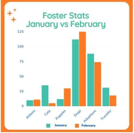 Foster Stats