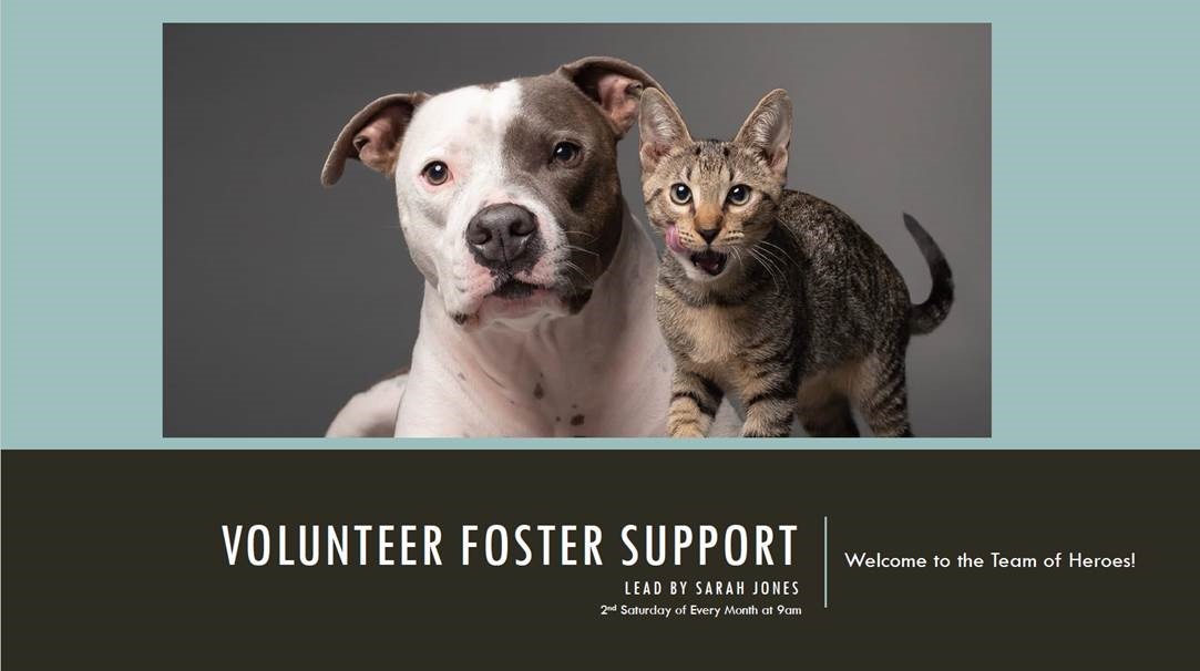 Foster Support Group