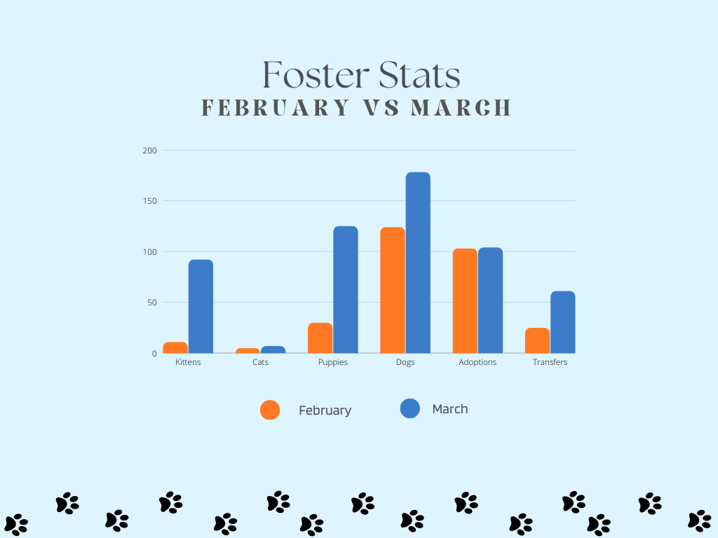 Foster Stats