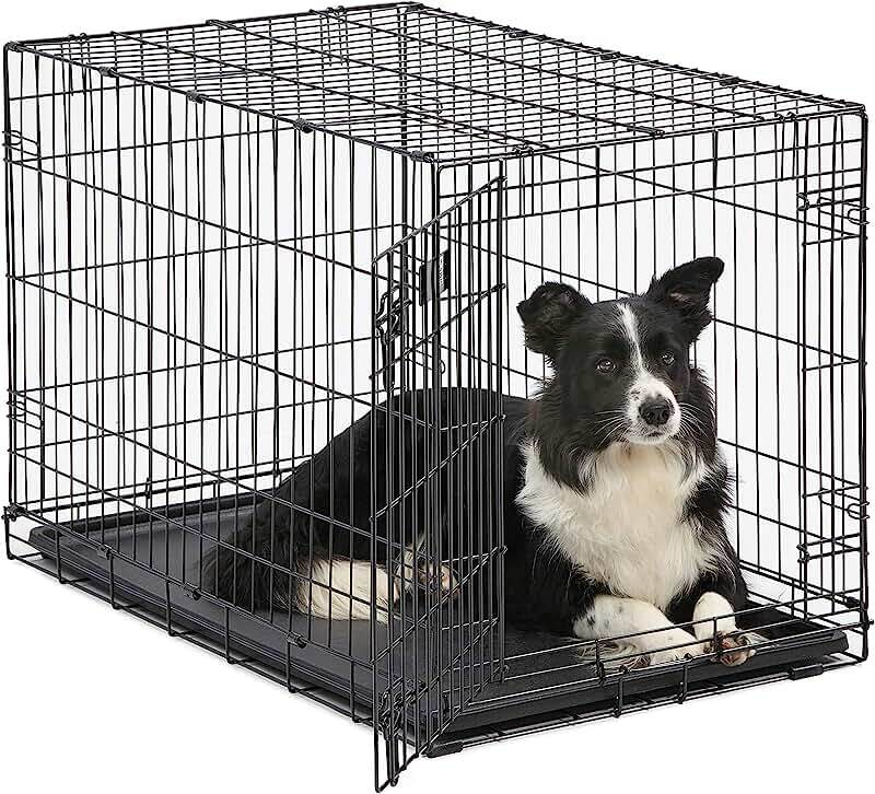dog crate