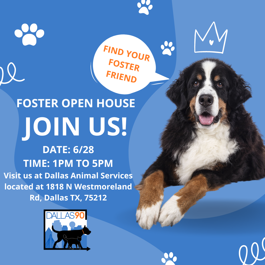 Foster Newsletter June Edition