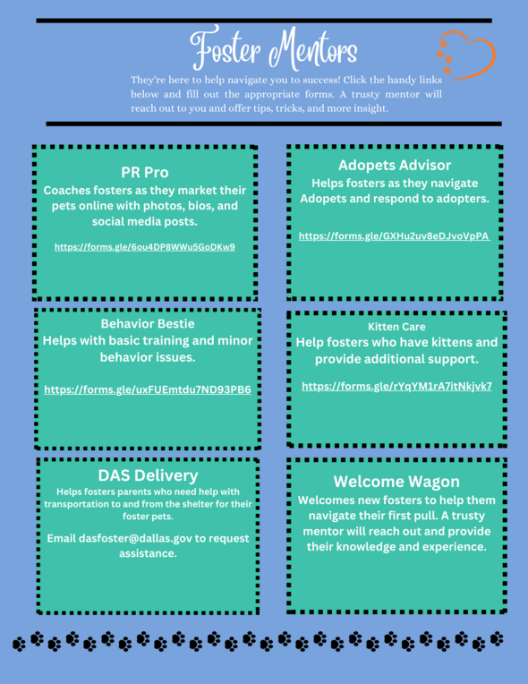 Foster Mentor