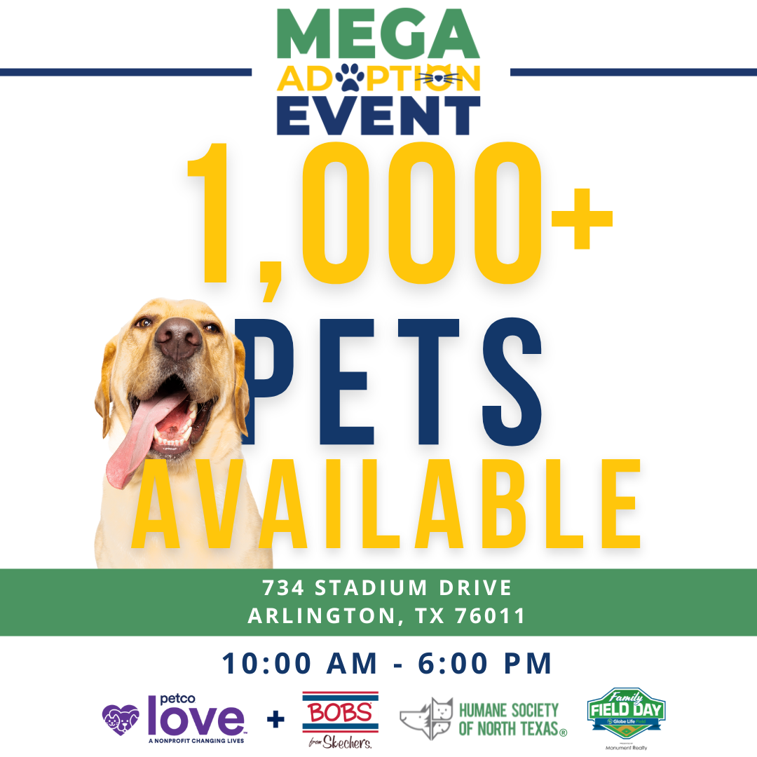Texas Rangers Mega Adoption event
