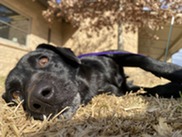 Rugrat Tagged by OPK