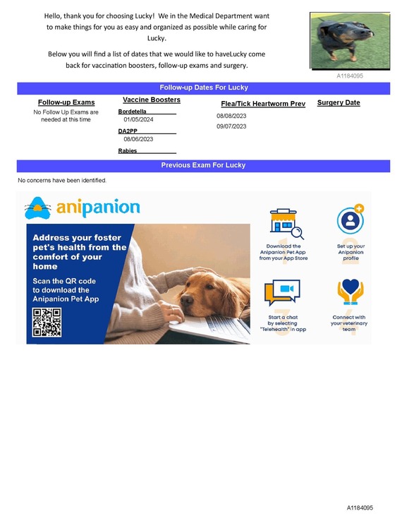 Foster Medical