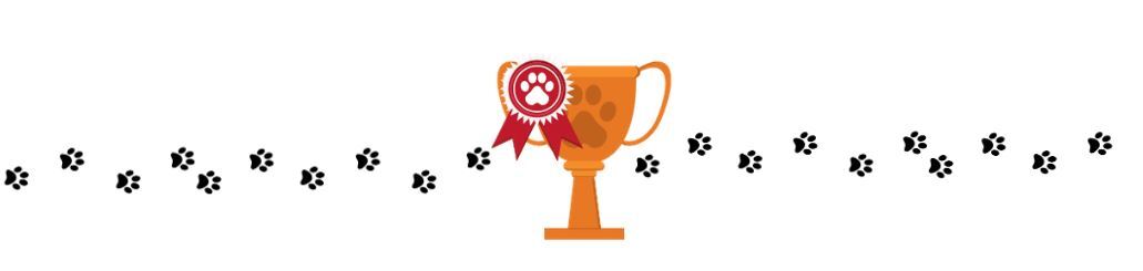 Best in show boarder