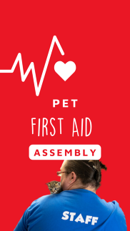 Pet First Aid Kit Assembly