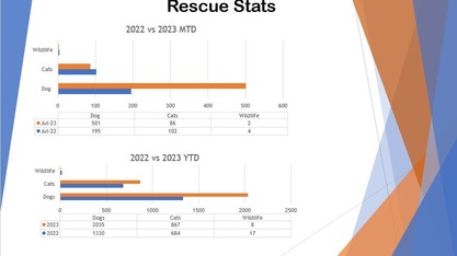 July Rescue Numbers 