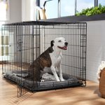 Picture of Crate 