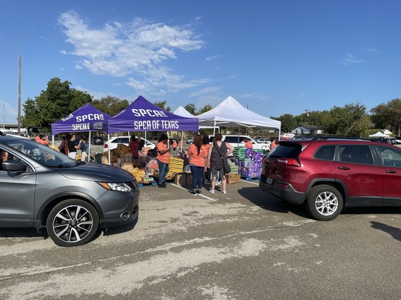 DFW Pets are Family 2