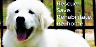 GPRS LOGO WITH MOTTO