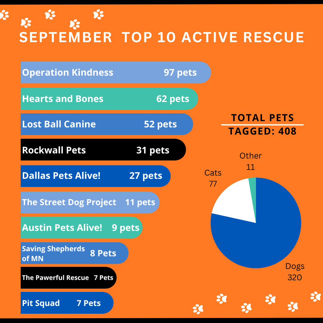 September Rescue Stats