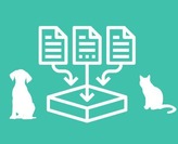 Pet Data Icon