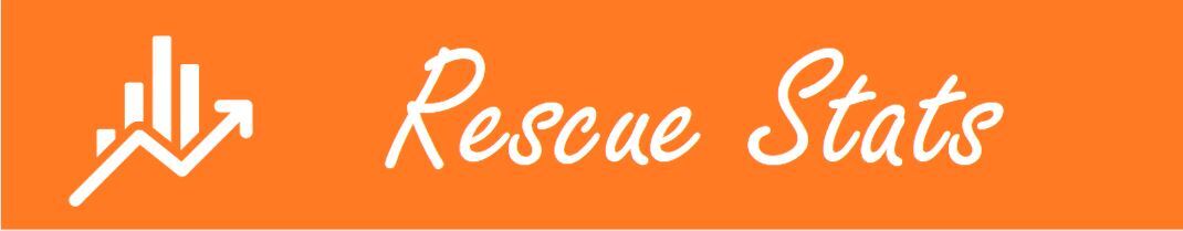 Rescue Stats Header