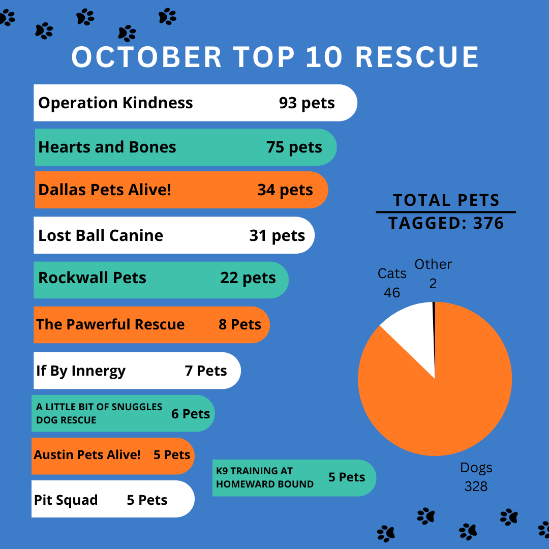 Rescue Stats for this October