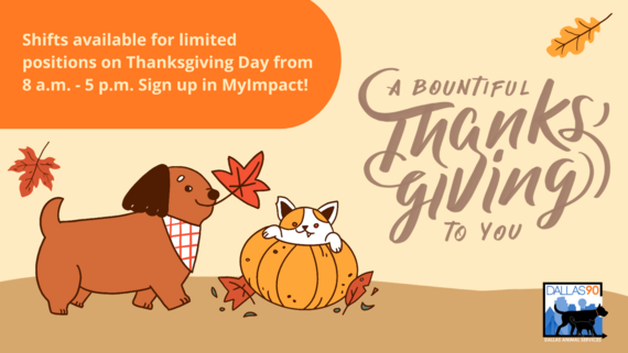 Thanksgiving Graphic