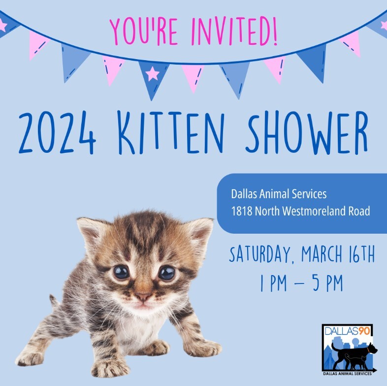 2024 Kitten Shower