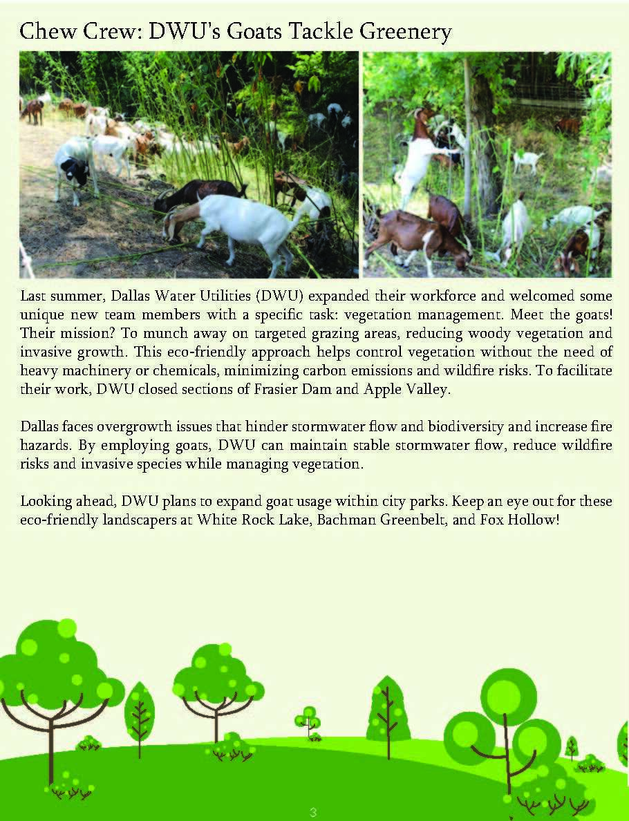 Greening Dallas Parks Newsletter Final ENG_Page_3