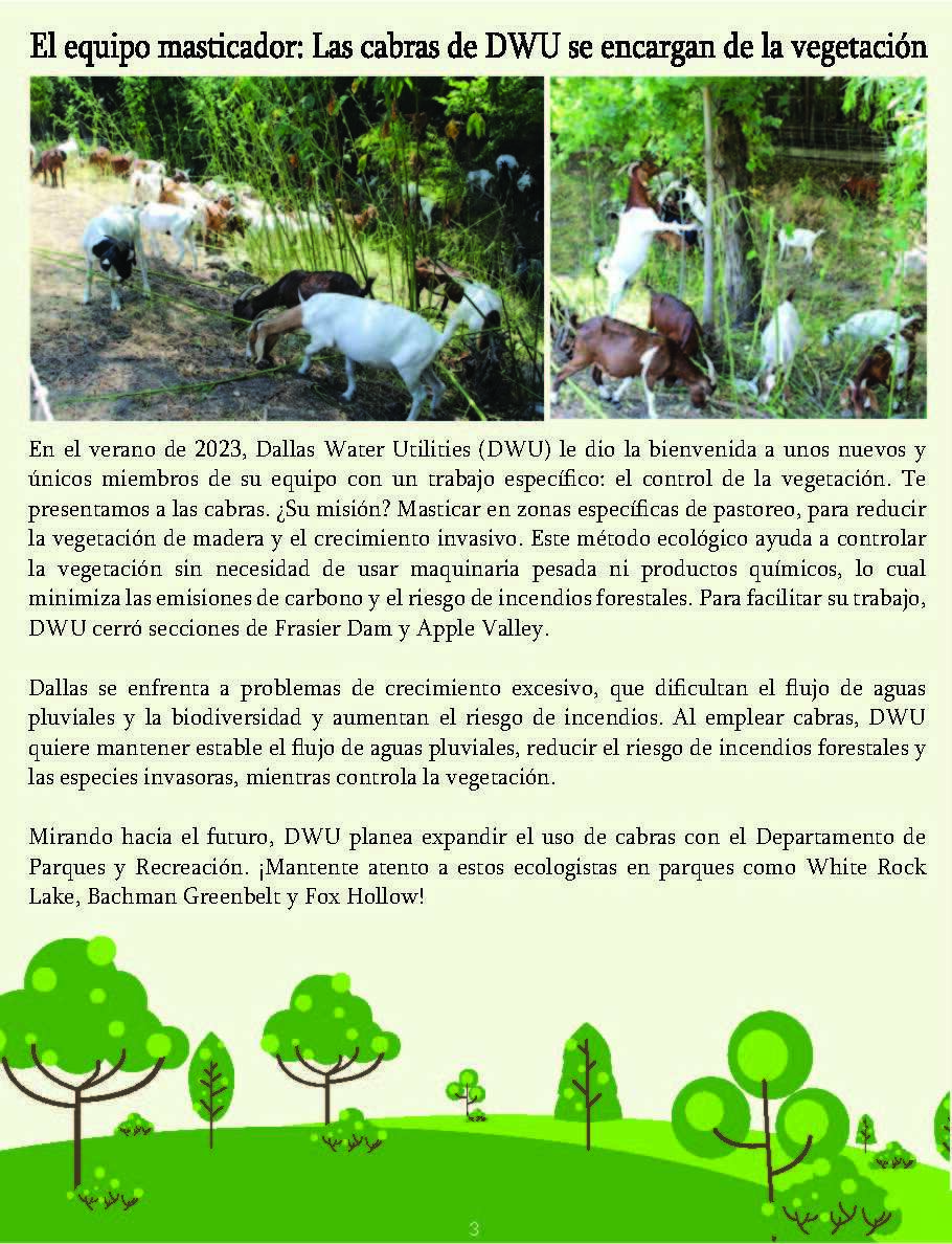 Greening Dallas Parks Newsletter Final SPN_Page_3