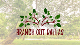 Branch Out Dallas