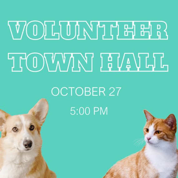 Volunteer Town Hall