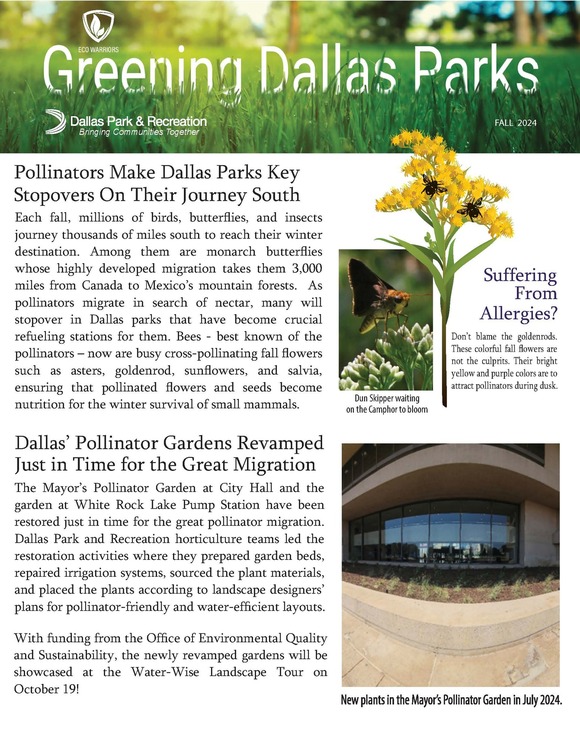 Fall greening Dallas Parks