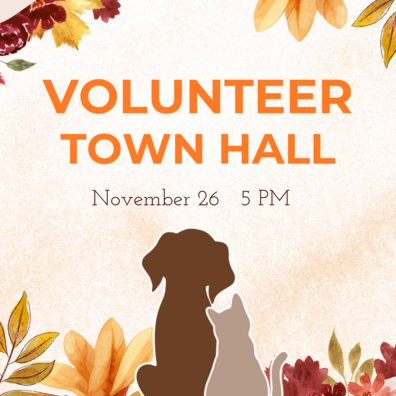 Volunteer Town Hall