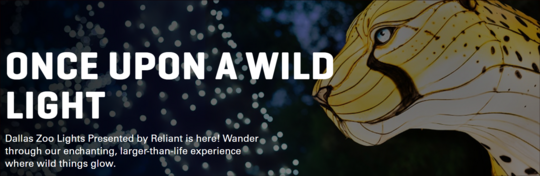 Dallas Zoo holiday park