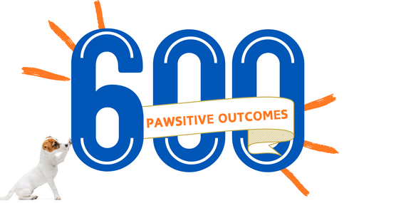 600 Pawsitive Outcomes