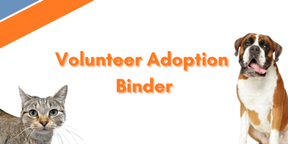 Adoption binder