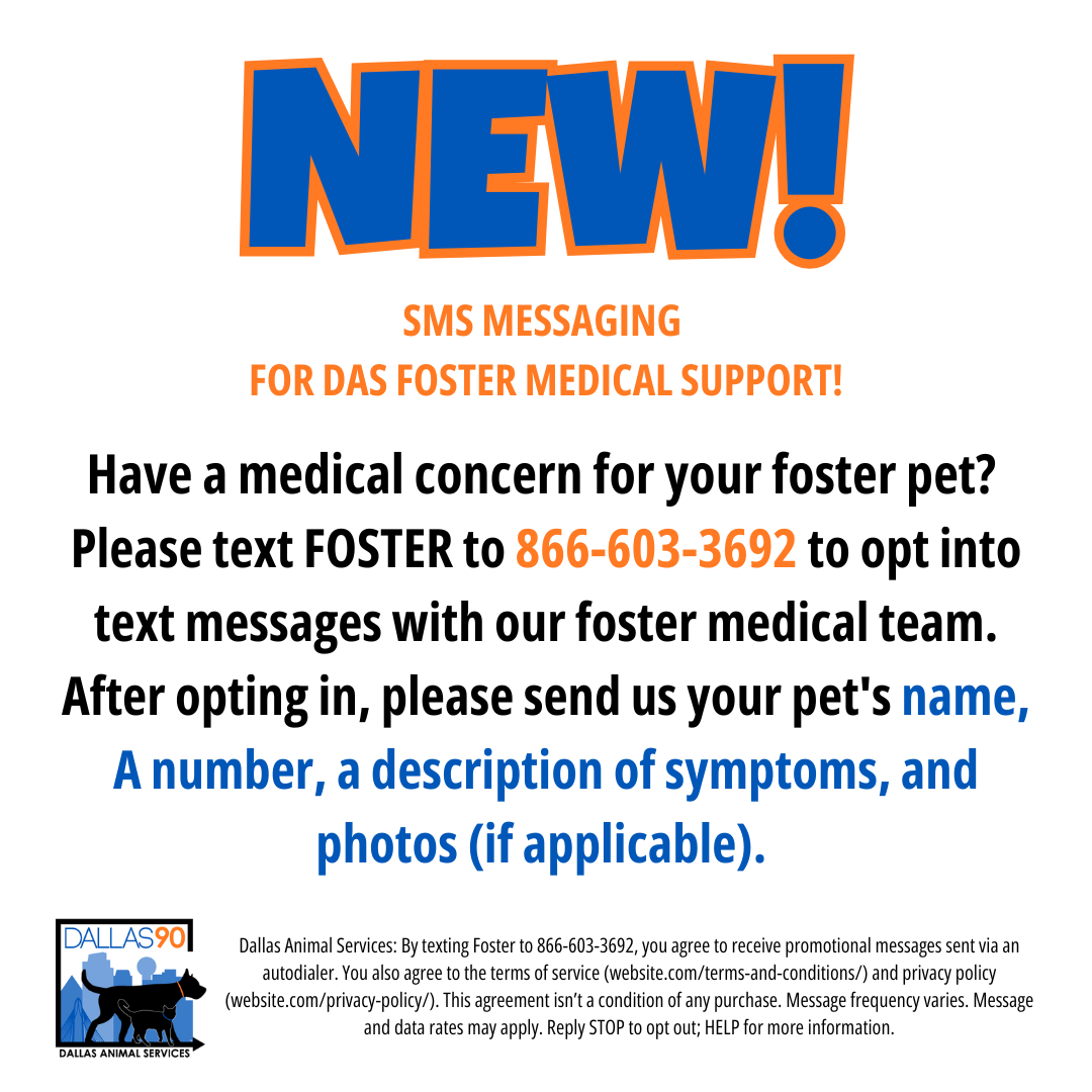 SMS Instructions for foster medical concerns
