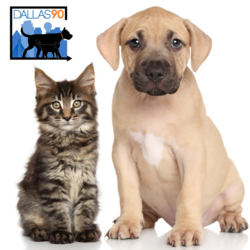 Kitten and Puppy Foster Facebook Group