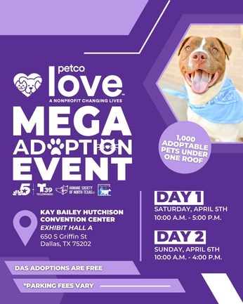 Mega Adoption