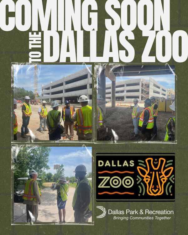 Dallas Zoo Garage 2025