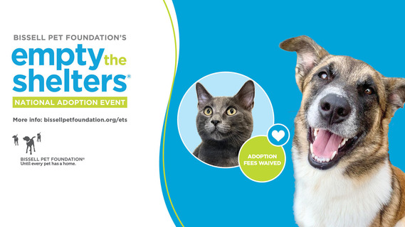 Bissel Pet Foundation