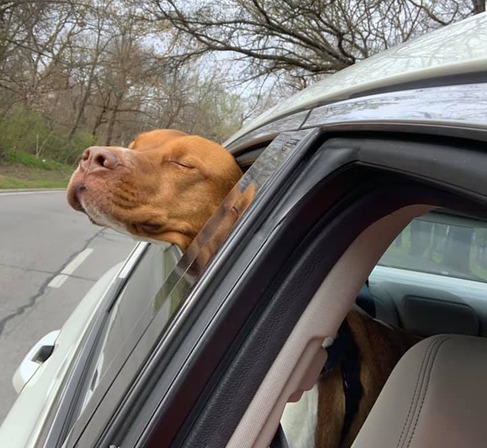 Rescue Ride