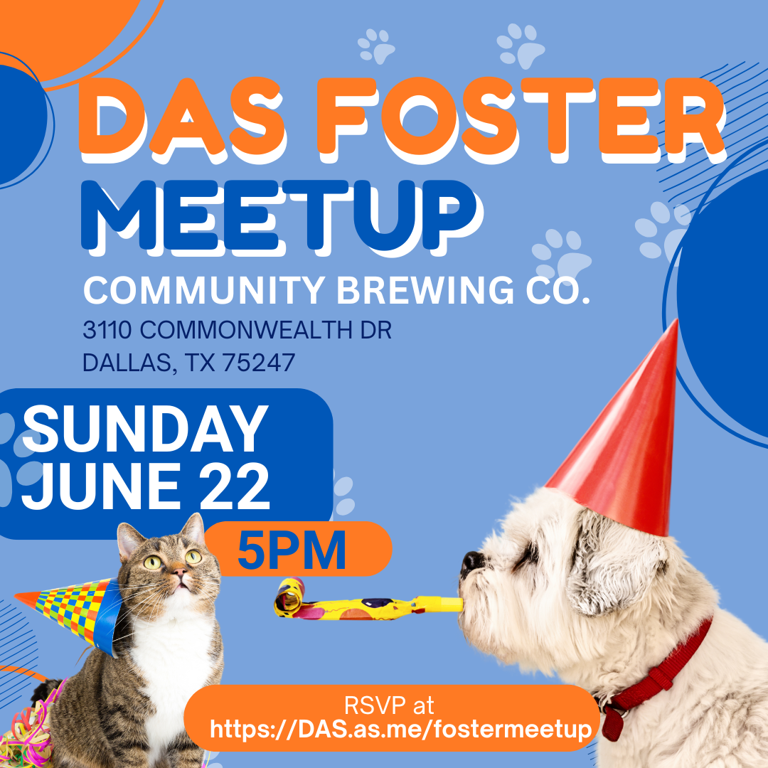 Foster Meetup June 22