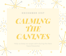 Calming the Canines