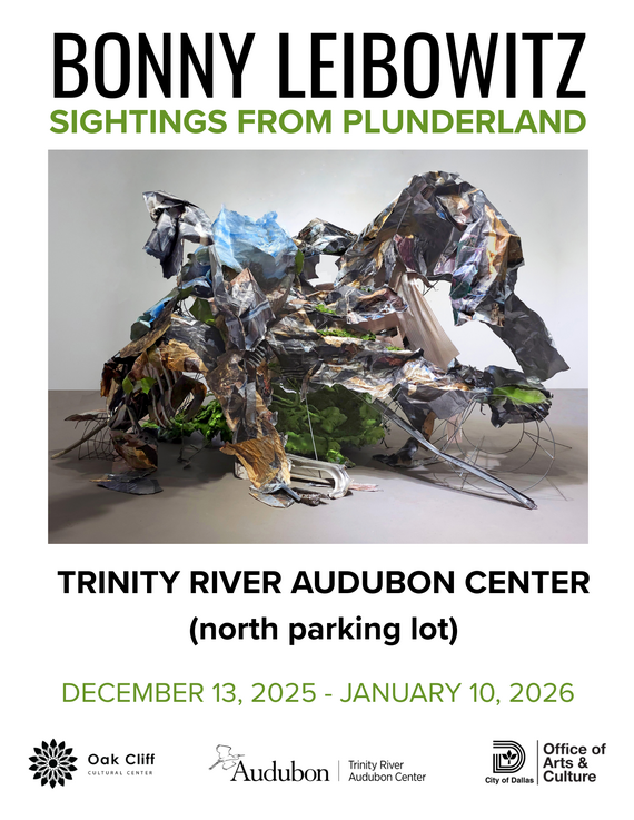 Bonny Leibowitz at TRAC