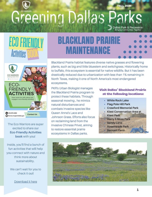 Greening Dallas Parks 1