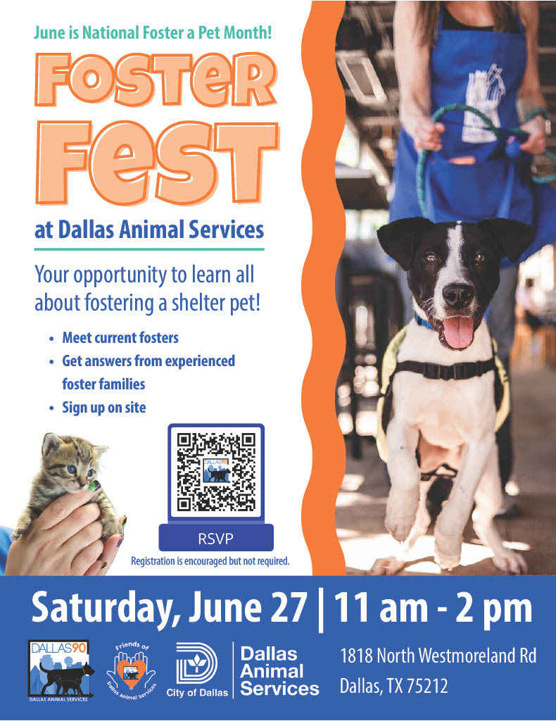 Foster Fest