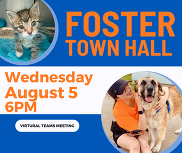 Foster Town Hall - August 5