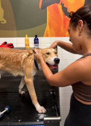 Leo A1292349 getting bath