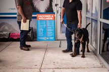 Spay Neuter Network