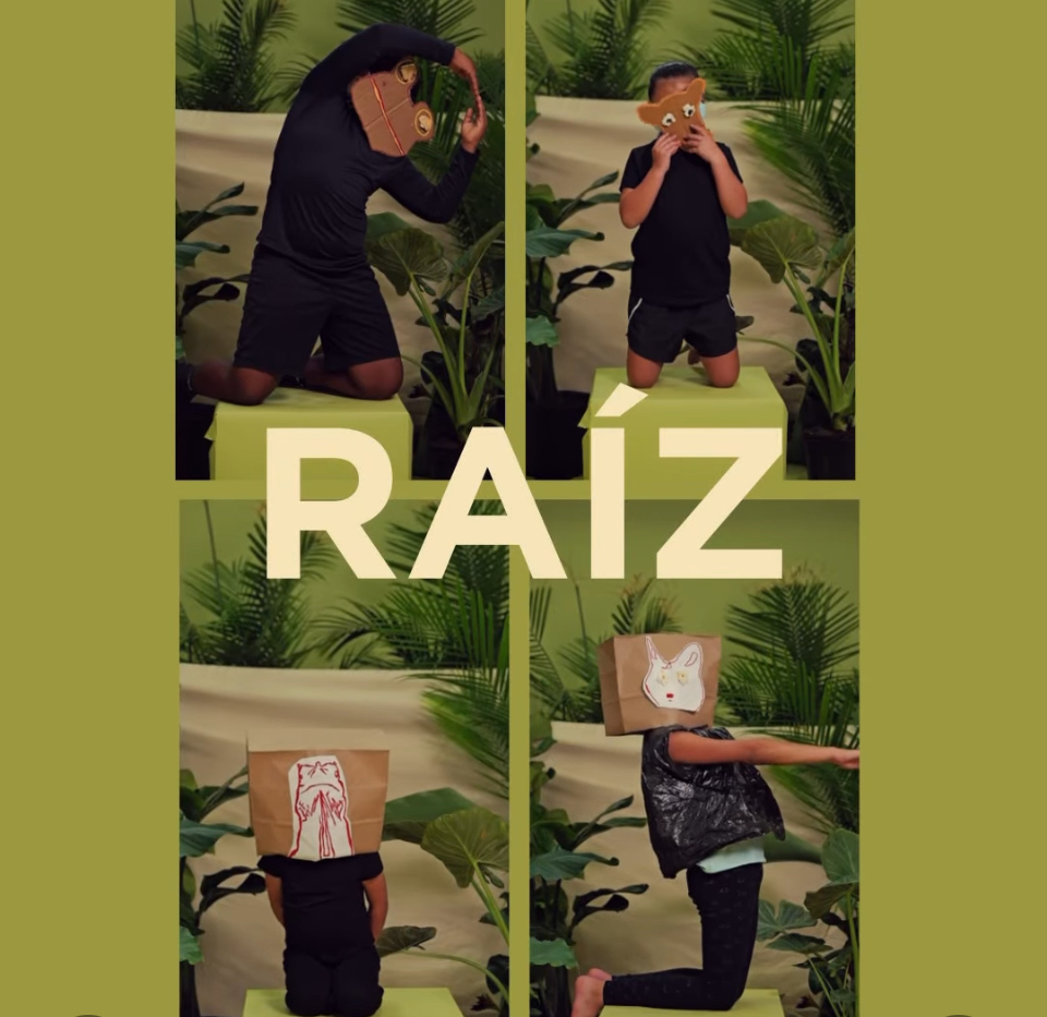 Raiz