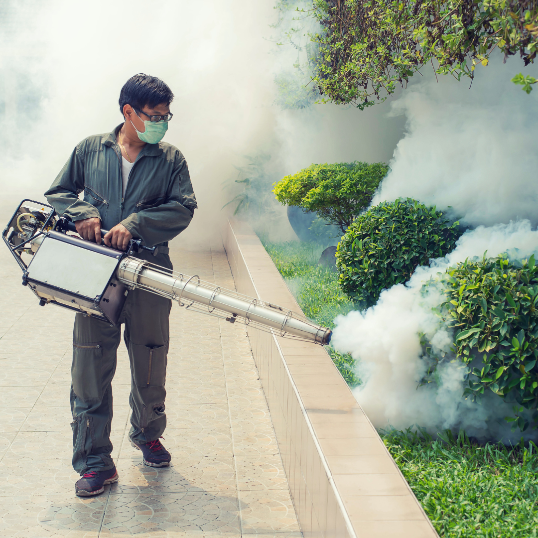 DCHHS Confirms Mosquito Samples Test Positive for West Nile Virus