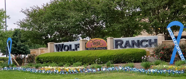 Wolf Ranch Pinwheel Display